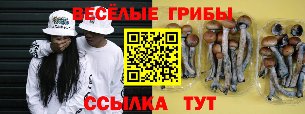 Кулебаки  Галлюциногенные грибы Magic Shrooms  Вход с VPN  закладки  Галлюциногенные грибы прущие грибы 